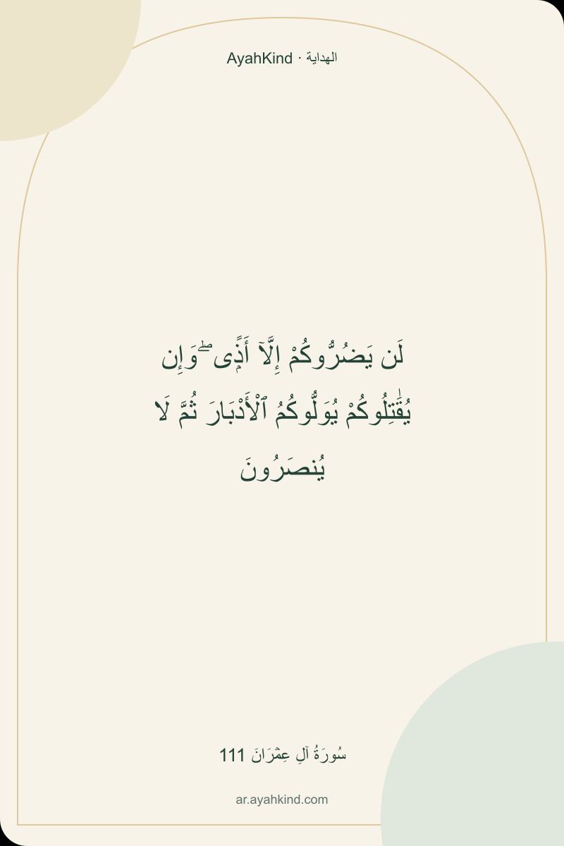 لَن يَضُرُّوكُمْ إِلَّآ أَذًۭى ۖ وَإِن يُقَٰتِلُوكُمْ يُوَلُّوكُمُ ٱلْأَدْبَارَ ثُمَّ لَا يُنصَرُونَ — سُورَةُ آلِ عِمۡرَانَ 111
