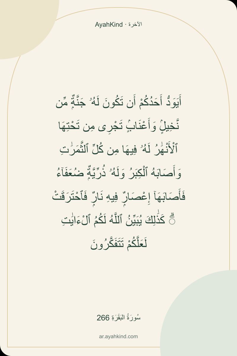 أَيَوَدُّ أَحَدُكُمْ أَن تَكُونَ لَهُۥ جَنَّةٌۭ مِّن نَّخِيلٍۢ وَأَعْنَابٍۢ تَجْرِى مِن تَحْتِهَا ٱلْأَنْهَٰرُ لَهُۥ فِيهَا مِن كُلِّ ٱلثَّمَرَٰتِ وَأَصَابَهُ ٱلْكِبَرُ وَلَهُۥ ذُرِّيَّةٌۭ ضُعَفَآءُ فَأَصَابَهَآ إِعْصَارٌۭ فِيهِ نَارٌۭ فَٱحْتَرَقَتْ ۗ كَذَٰلِكَ يُبَيِّنُ ٱللَّهُ لَكُمُ ٱلْءَايَٰتِ لَعَلَّكُمْ تَتَفَكَّرُونَ — سُورَةُ البَقَرَةِ 266
