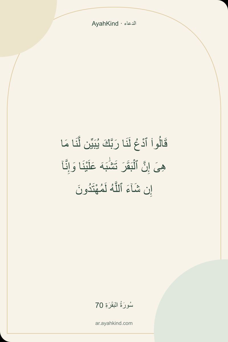 قَالُوا۟ ٱدْعُ لَنَا رَبَّكَ يُبَيِّن لَّنَا مَا هِىَ إِنَّ ٱلْبَقَرَ تَشَٰبَهَ عَلَيْنَا وَإِنَّآ إِن شَآءَ ٱللَّهُ لَمُهْتَدُونَ — سُورَةُ البَقَرَةِ 70